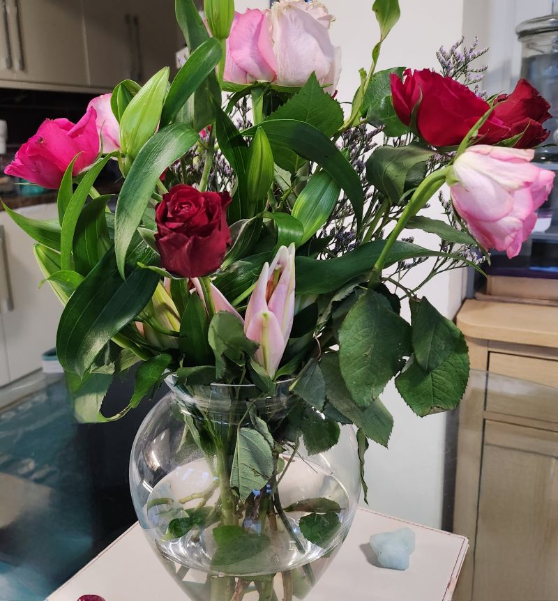 ๐ช๐ต๐ฒ๐ป ๐๐ถ๐ณ๐ฒ ๐๐ฎ๐ป๐ฑ๐ ๐ฌ๐ผ๐ ๐ฎ ๐๐ถ๐ณ๐